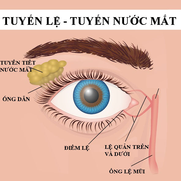 Tắc lệ đạo 